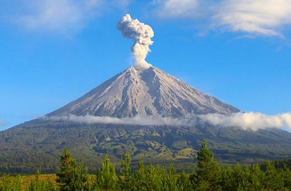 Jalur Pendakian Semeru Ditutup untuk Pemulihan Ekosistem