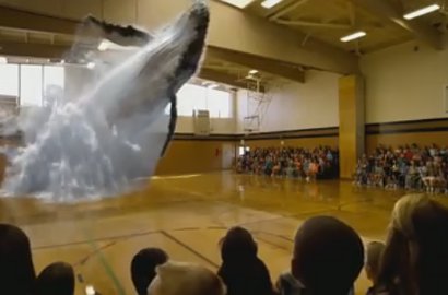 Teknologi Ini Bikin Ikan Paus Seolah Lompat Keluar dari Lapangan Basket