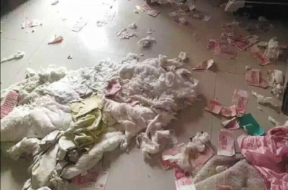 Disembunyikan dari Istri, Uang Jutaan Milik Pria Tiongkok Ini Dimakan Anjing