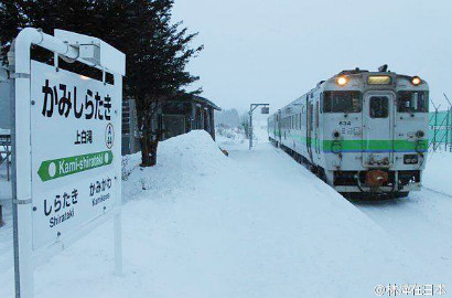 Unik, Kereta di Jepang Ini Cuma Punya 1 Penumpang Setiap Hari