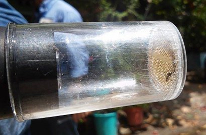 Terjangkit Virus Zika, 22 Negara Ini Masuk Daftar Travel Warning