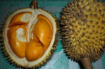 Mirip Durian Berwarna Oranye, Ini Dia Buah Papakin Asal Kalimantan