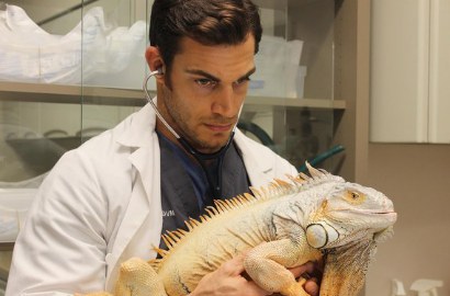Mirip Model, Dokter Hewan Ganteng Ini Bikin Cewek-Cewek Baper