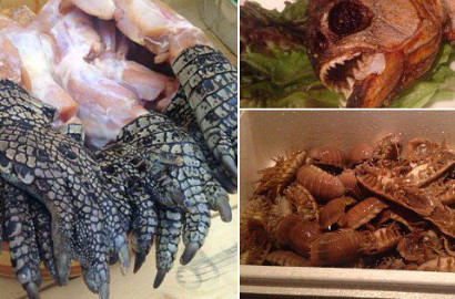 Restoran di Jepang Ini Sediakan Menu Kaki Buaya Hingga Piranha, Berani Coba?