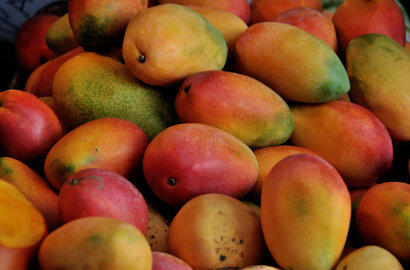 Buah Mangga Ternyata Sempat Dianggap Suci dan Jadi Objek Pemujaan di Tiongkok