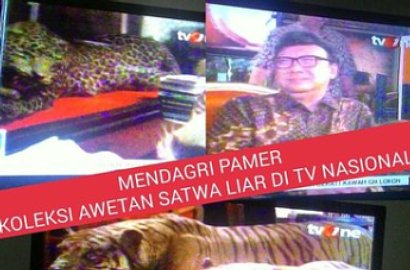 Mendagri Tjahjo Kumolo Pamer Harimau Diawetkan di tvOne, Netter Geram