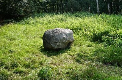 Keren, Sebuah Batu Besar di Tengah Hutan Bisa Salurkan Akses Wi-Fi
