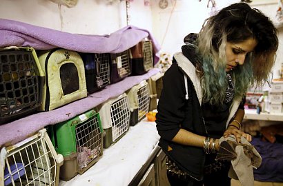 Wanita Ini Tinggal Bersama 70 Ekor Kelelawar di Rumahnya, Kok Bisa?