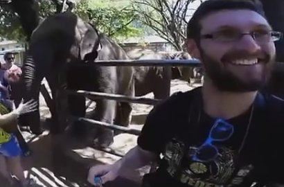 Ingin Selfie Bersama, Pria Ini Malah Dapat Tamparan dari Gajah