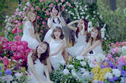Comeback Jepang, A Pink Jadi Peri-Peri Cantik di MV 'Brand New Days'