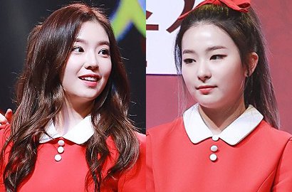 Dihujat Saltum di Pernikahan, Netter Buktikan Irene-Seulgi Nggak Salah