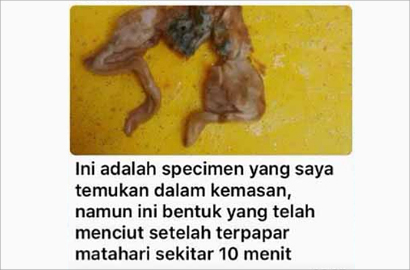Heboh Kabar Katak dalam Susu Kemasan, Ini Jawaban PT Ultra Jaya