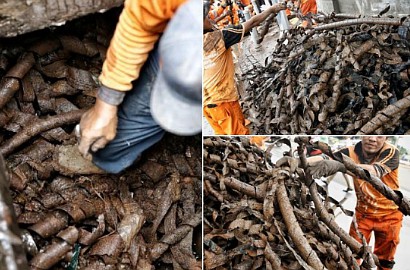 Wow, Sudah 12 Truk Kulit Kabel Ditemukan di Medan Merdeka Jakarta