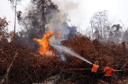 Hutan Terbakar, Kabut Asap Tipis Mulai Melanda Riau Kembali