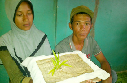 Bikin Heboh, Warga Aceh Temukan Alquran Ditumbuhi Bunga Anggrek