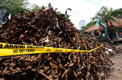 Sampah Kabel Kulit di Gorong-Gorong Jalan Merdeka Dipastikan Milik PLN