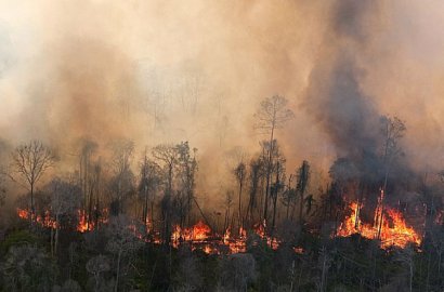 Riau Muncul Kabut Asap Lagi, Polisi-TNI Akan Usut Pelaku Pembakaran Hutan