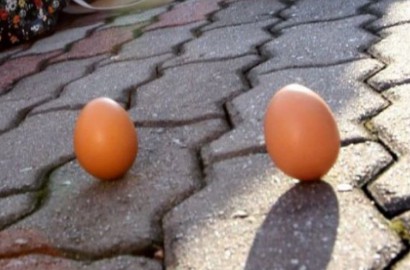 Unik, Ternyata Telur Bisa Berdiri Tegak Saat Gerhana Matahari