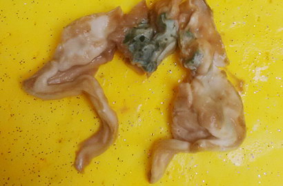 Temuan Serupa Kaki Katak di Dalam Susu Kemasan Berakhir Damai