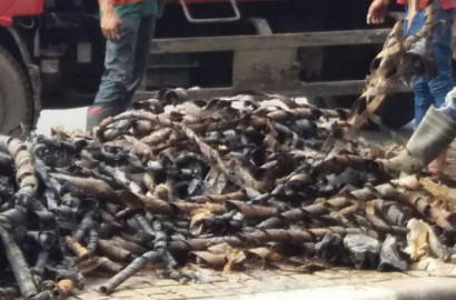 Polisi Tangkap 6 Tersangka Spesialis Pencuri Kabel di Gorong-Gorong Jakarta