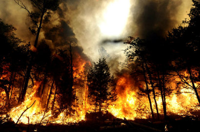 Sengaja Ada yang Bakar, Kebakaran Hutan dan Lahan di Indonesia Meningkat