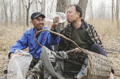 Bersahabat, Lelaki Buta dan Pria Tanpa Lengan Ini Tanam 10 Ribu Pohon