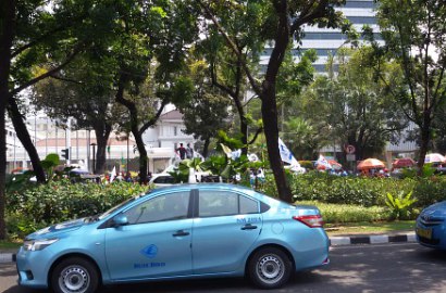 Petugas Taman Ngamuk Tanaman Diinjak Pendemo Taksi, Netter Beri Dukungan
