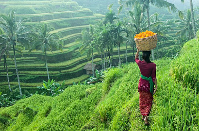 Hebat, Ubud Diakui Sebagai Salah Satu Tujuan Wisata Terbaik Dunia