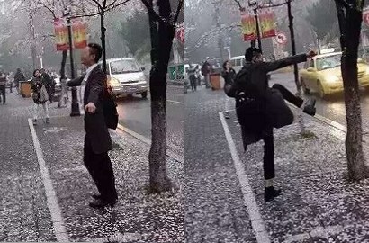 Rusak Bunga Sakura Demi Selfie, Tingkah Pengunjung Ini Tuai Kecaman