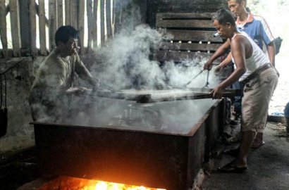 Terbesar, Pindang Tuna Raksasa Ini Cetak Rekor MURI