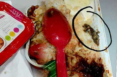 Menjijikkan, Penumpang Pesawat Ini Temukan Cicak di Dalam Nasi Kotak