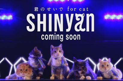 Unyunya SHINyan, SHINee Versi Kucing di Video 'Because of You for Cat'