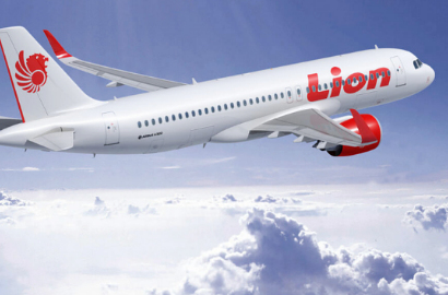 Ratusan Pilot Lion Air Mogok, YLKI Minta Pemerintah Beri Sanksi Berat