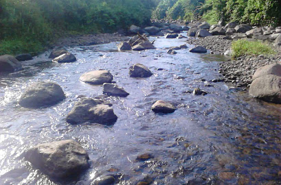 Mandi Telanjang di Sungai, Wanita Bali Ini Ditangkap Polisi