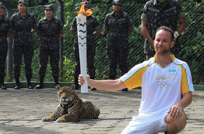 Kabur Usai Penyalaan Obor Olimpiade 2016 di Brasil, Jaguar Ditembak Mati