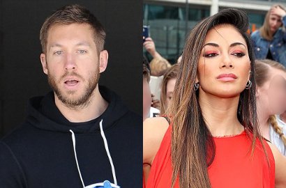 Kepergok Gandengan Mesra, Calvin Harris-Nicole Scherzinger Pacaran?