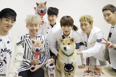 Didownload 1 Juta Kali, 'Toy' Block B Kalahkan 'Monster' EXO di MelOn