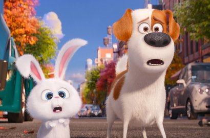 Masih Tayang, 'The Secret Life of Pets' Sudah Umumkan Jadwal Rilis Sekuel
