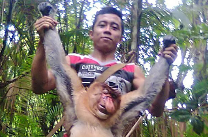 Heboh Pria Foto dengan Bekantan Mati, Netter Desak Pelaku Segera Ditangkap