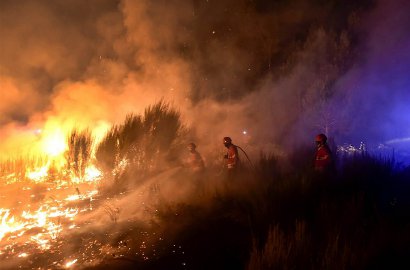 Kebakaran Hutan Portugal Sampai ke Pemukiman, 400 Warga Dievakuasi