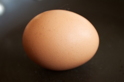 Heboh, Cangkang Telur Ayam Bertuliskan 'Lailahaillallah'