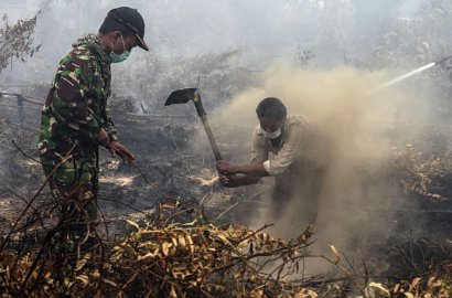 Hilang Secara Misterius Saat Padamkan Kebakaran Hutan, Anggota TNI Ditemukan Tewas