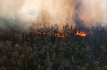 Kebakaran Hutan Riau Makin Parah, Singapura Diselimuti Kabut Asap