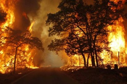 Titik Panas Kebakaran Hutan Bertambah, Pekanbaru dan Dumai Diselimuti Asap