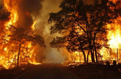 Kena Dampak Kebakaran Hutan, Udara Singapura Masih Lebih Baik Dari Jakarta
