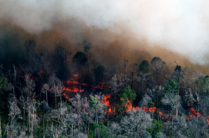 Kabut Asap Kebakaran Hutan Riau Sampai Singapura, Begini Tanggapan JK