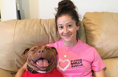 Unyu Banget, Anjing Pitbull Ini Tak Bisa Berhenti Tersenyum