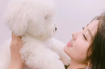 Cinta Anjing, Sohyun Buatkan Akun Instagram Khusus