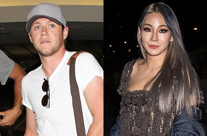 Niall Horan Ketahuan Follow CL 2NE1 di Twitter, Netter: Dibayar YG?