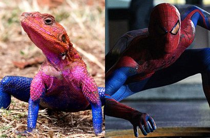 Unik, Kadal Ini Bisa Berubah Mirip Spider-Man